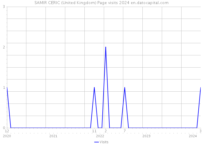SAMIR CERIC (United Kingdom) Page visits 2024 