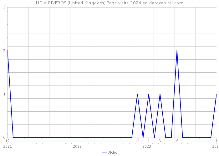 LIDIA RIVEROS (United Kingdom) Page visits 2024 