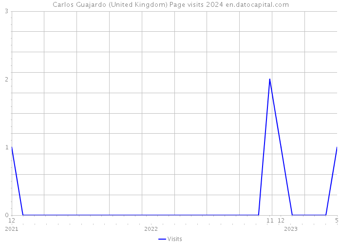 Carlos Guajardo (United Kingdom) Page visits 2024 
