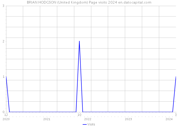BRIAN HODGSON (United Kingdom) Page visits 2024 