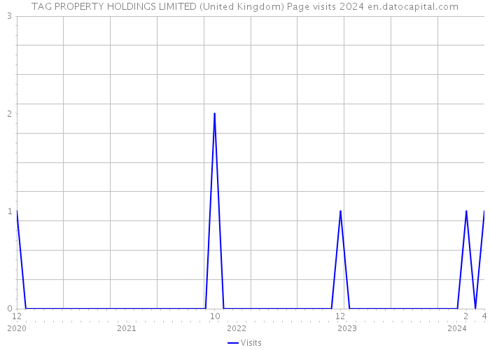 TAG PROPERTY HOLDINGS LIMITED (United Kingdom) Page visits 2024 