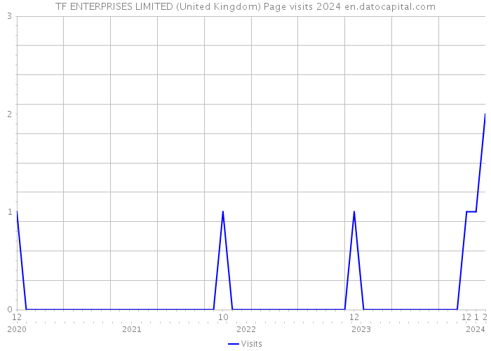 TF ENTERPRISES LIMITED (United Kingdom) Page visits 2024 