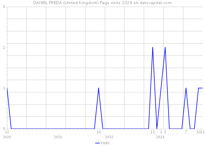 DANIEL PREDA (United Kingdom) Page visits 2024 