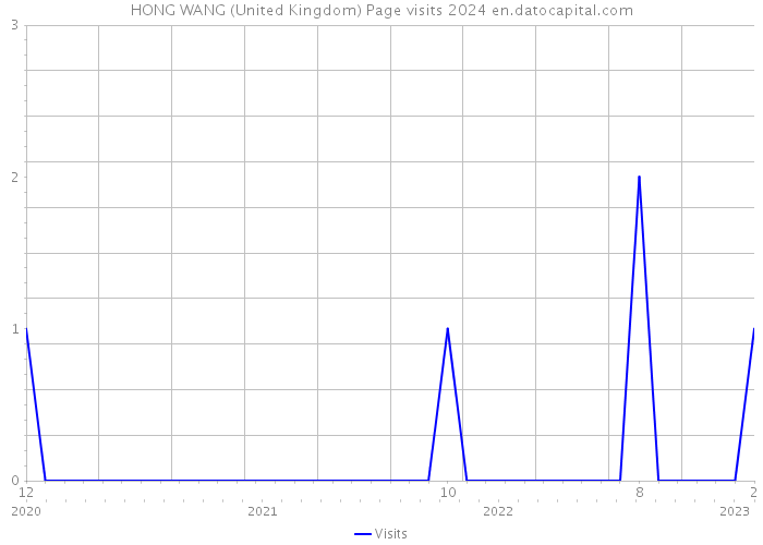 HONG WANG (United Kingdom) Page visits 2024 