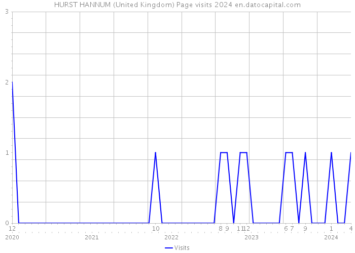 HURST HANNUM (United Kingdom) Page visits 2024 