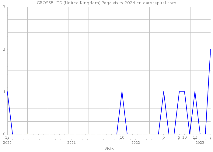GROSSE LTD (United Kingdom) Page visits 2024 