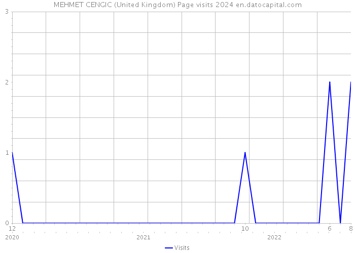 MEHMET CENGIC (United Kingdom) Page visits 2024 