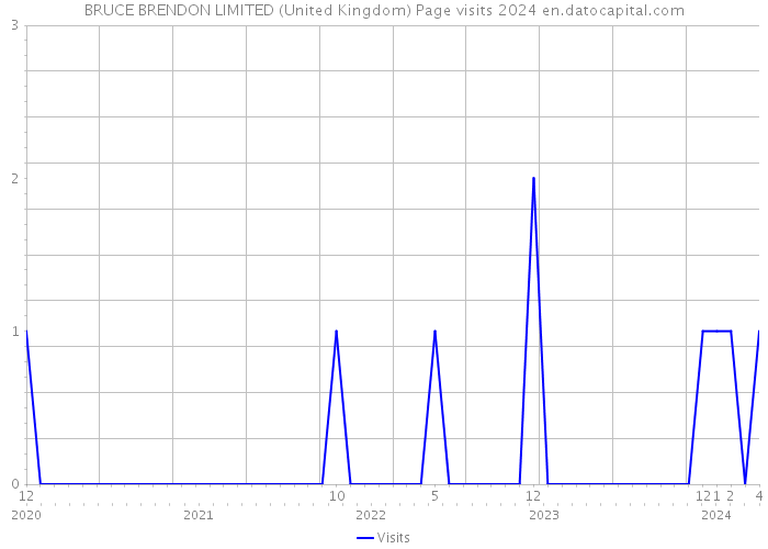 BRUCE BRENDON LIMITED (United Kingdom) Page visits 2024 