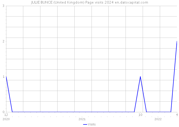 JULIE BUNCE (United Kingdom) Page visits 2024 