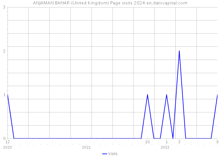 ANJAMAN BAHAR (United Kingdom) Page visits 2024 