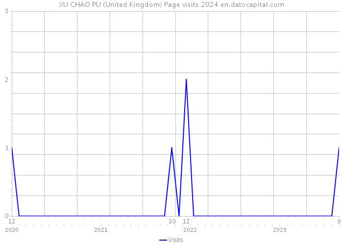 XU CHAO PU (United Kingdom) Page visits 2024 