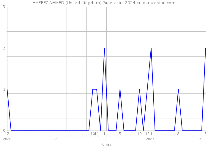 HAFEEZ AHMED (United Kingdom) Page visits 2024 