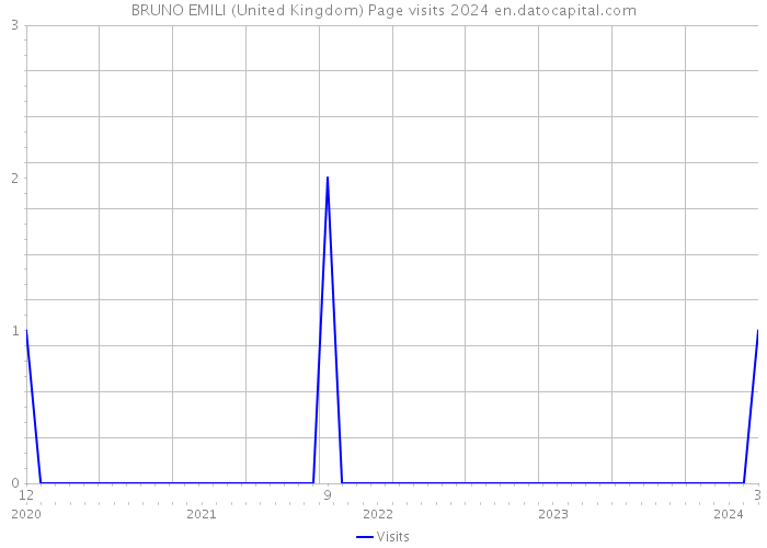 BRUNO EMILI (United Kingdom) Page visits 2024 