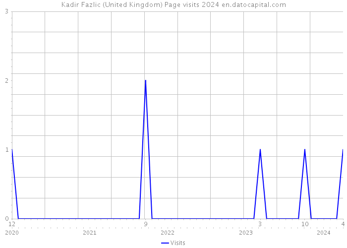 Kadir Fazlic (United Kingdom) Page visits 2024 