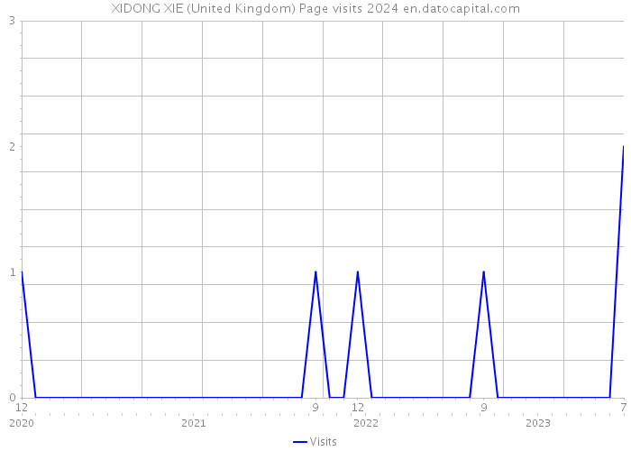 XIDONG XIE (United Kingdom) Page visits 2024 