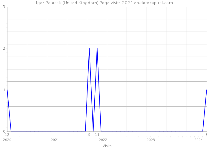 Igor Polacek (United Kingdom) Page visits 2024 