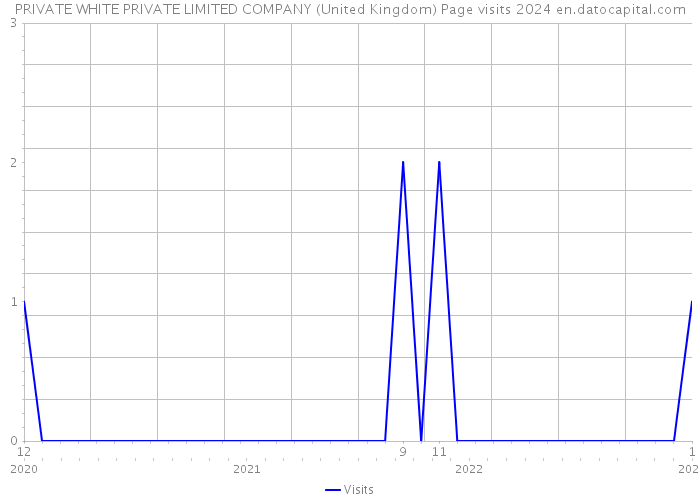 PRIVATE WHITE PRIVATE LIMITED COMPANY (United Kingdom) Page visits 2024 