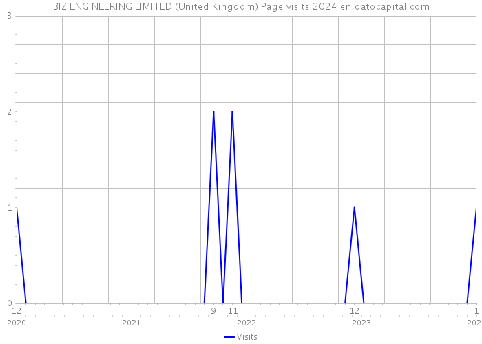BIZ ENGINEERING LIMITED (United Kingdom) Page visits 2024 