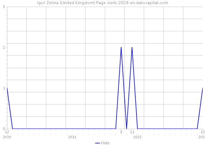 Igor Zelina (United Kingdom) Page visits 2024 