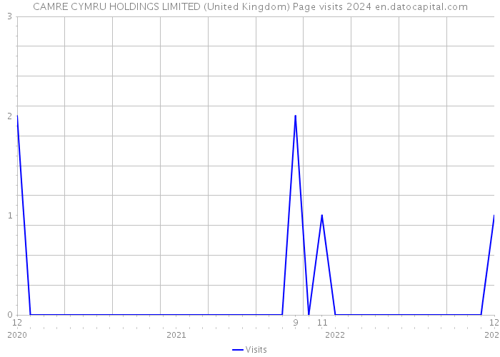 CAMRE CYMRU HOLDINGS LIMITED (United Kingdom) Page visits 2024 