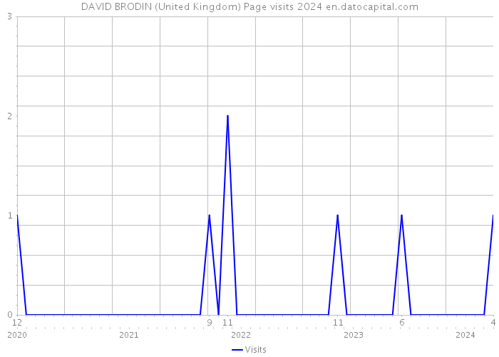 DAVID BRODIN (United Kingdom) Page visits 2024 