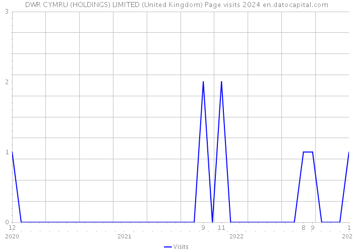 DWR CYMRU (HOLDINGS) LIMITED (United Kingdom) Page visits 2024 