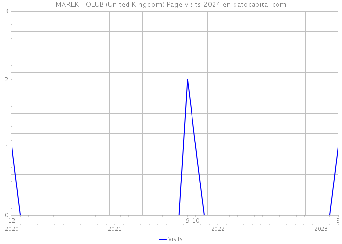 MAREK HOLUB (United Kingdom) Page visits 2024 