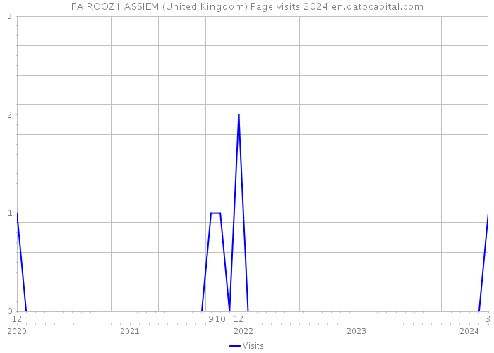 FAIROOZ HASSIEM (United Kingdom) Page visits 2024 