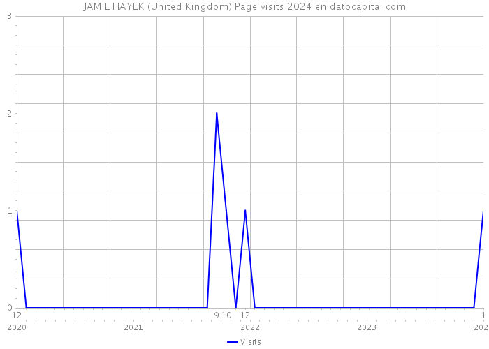 JAMIL HAYEK (United Kingdom) Page visits 2024 