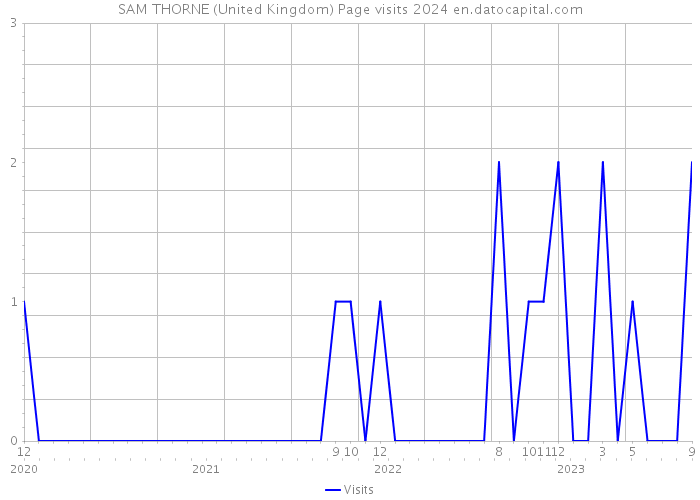 SAM THORNE (United Kingdom) Page visits 2024 