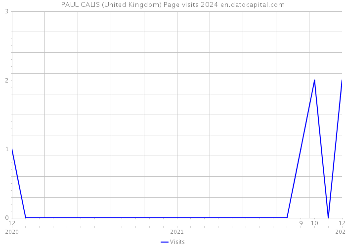 PAUL CALIS (United Kingdom) Page visits 2024 