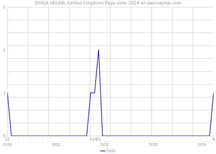 DINGA NDUNA (United Kingdom) Page visits 2024 
