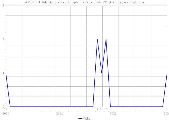 AMBRISH BANSAL (United Kingdom) Page visits 2024 