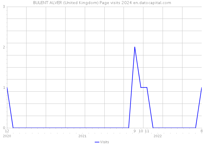 BULENT ALVER (United Kingdom) Page visits 2024 