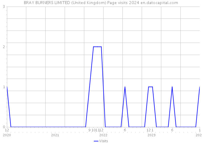 BRAY BURNERS LIMITED (United Kingdom) Page visits 2024 