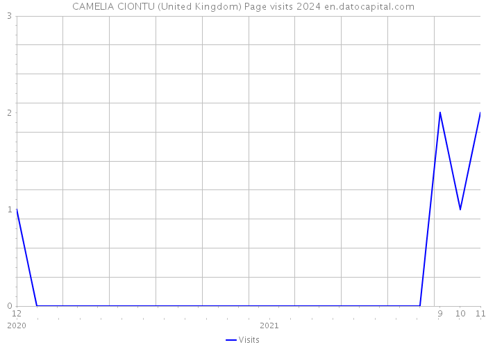 CAMELIA CIONTU (United Kingdom) Page visits 2024 