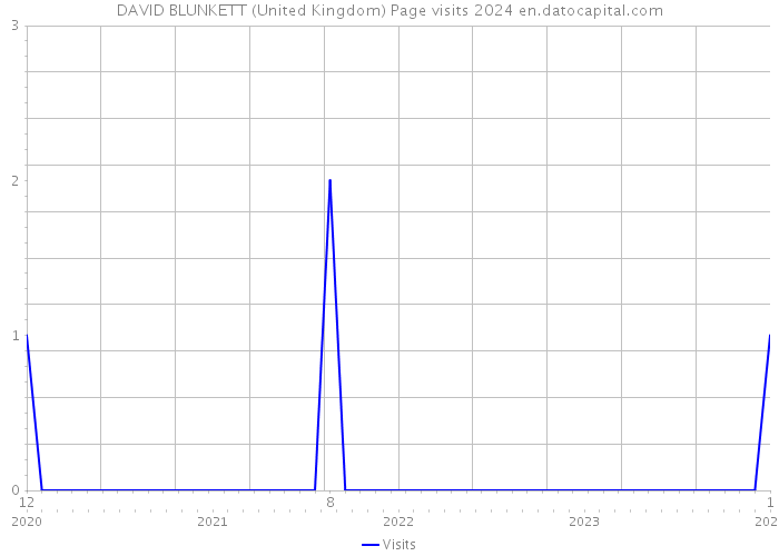 DAVID BLUNKETT (United Kingdom) Page visits 2024 