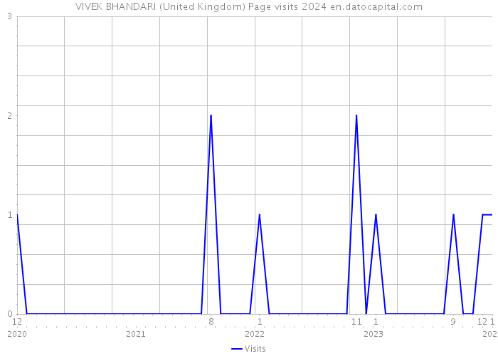 VIVEK BHANDARI (United Kingdom) Page visits 2024 
