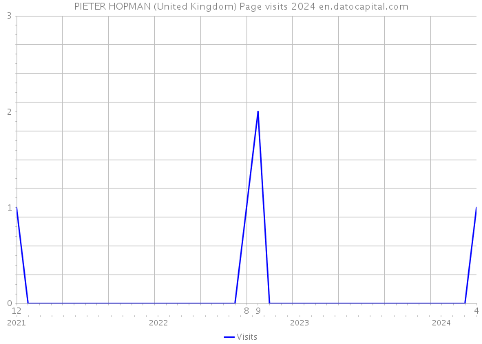 PIETER HOPMAN (United Kingdom) Page visits 2024 