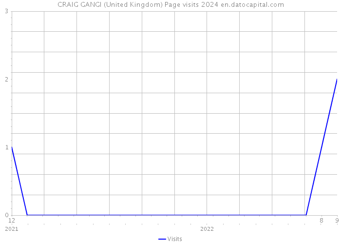 CRAIG GANGI (United Kingdom) Page visits 2024 