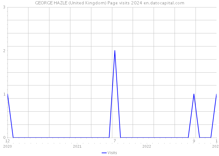 GEORGE HAZLE (United Kingdom) Page visits 2024 