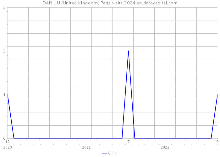 DAN LIU (United Kingdom) Page visits 2024 