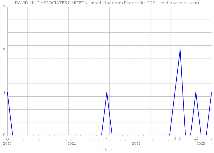 DAVID KING ASSOCIATES LIMITED (United Kingdom) Page visits 2024 