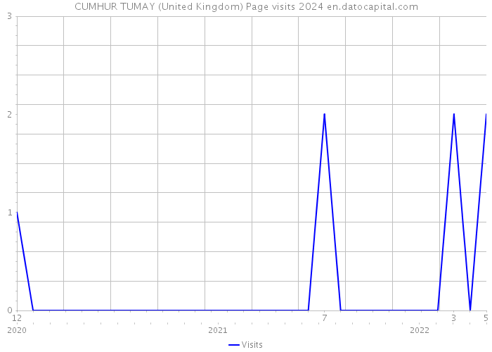 CUMHUR TUMAY (United Kingdom) Page visits 2024 