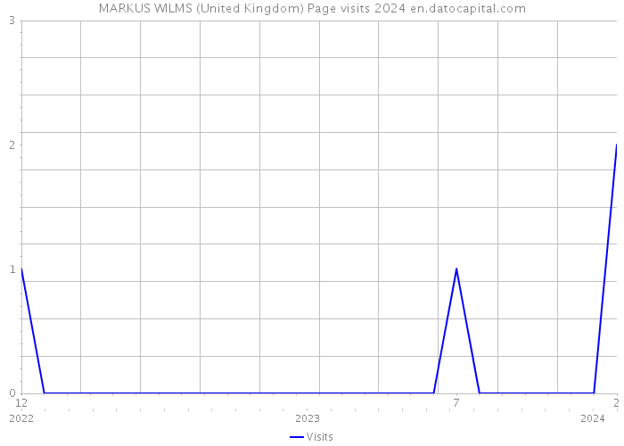 MARKUS WILMS (United Kingdom) Page visits 2024 