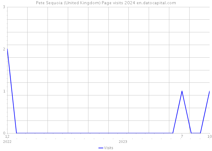 Pete Sequoia (United Kingdom) Page visits 2024 