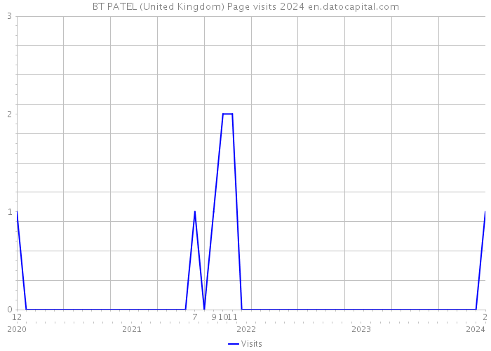 BT PATEL (United Kingdom) Page visits 2024 