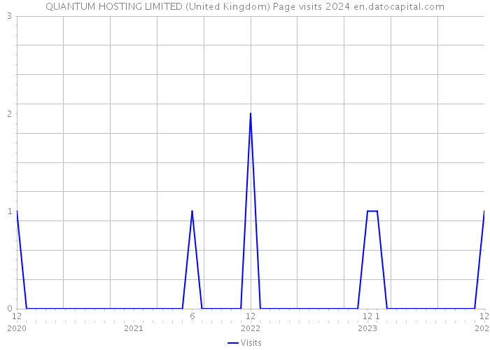 QUANTUM HOSTING LIMITED (United Kingdom) Page visits 2024 