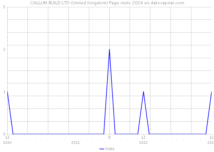 CALLUM BUILD LTD (United Kingdom) Page visits 2024 