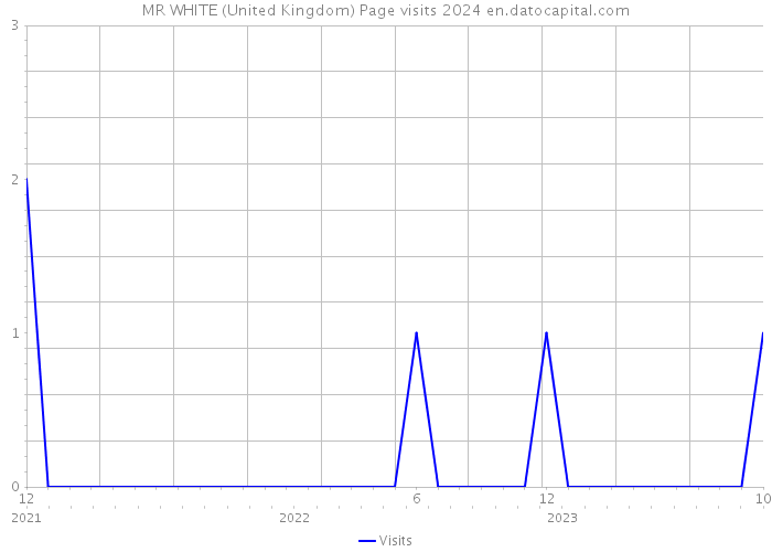 MR WHITE (United Kingdom) Page visits 2024 